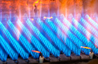 Blean gas fired boilers